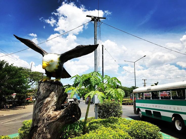 Astrologer in BA Town